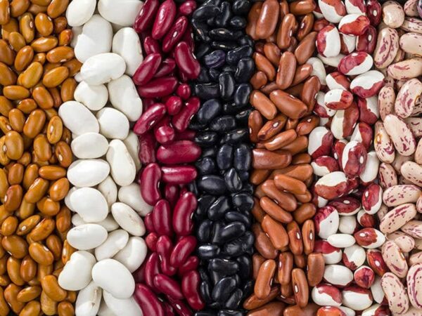 All Variety Kidney Beans