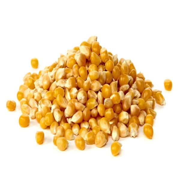 Dry Yellow Maize